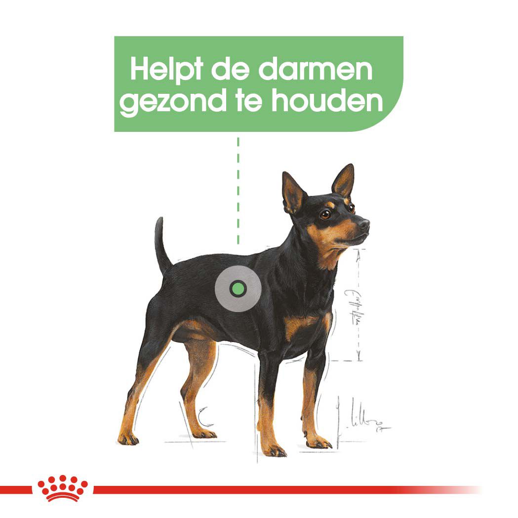 Royal Canin Digestive Care Wet - Hondenvoer - 1020 - gevogelte