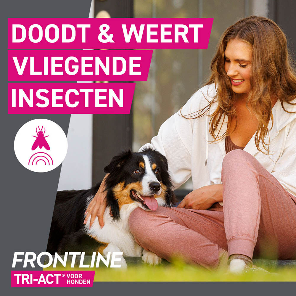 Frontline Tri-Act S - Teken en vlooienpipet - 3 pipetten - S