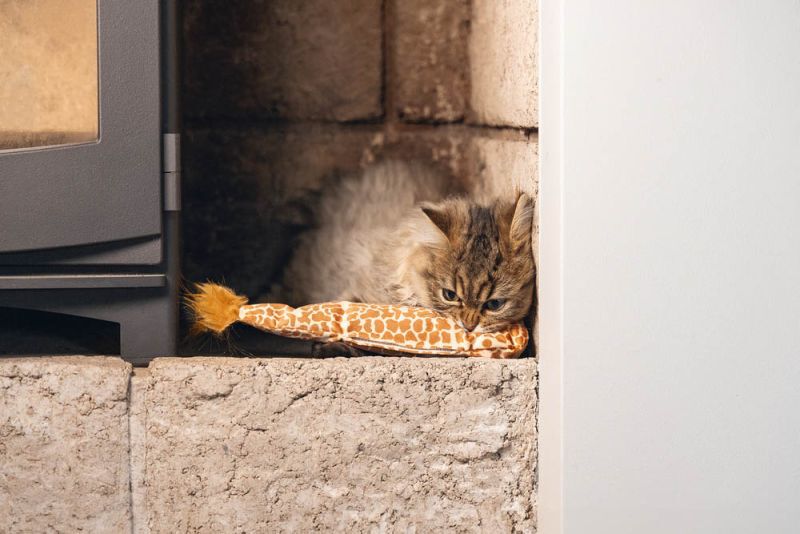 Beeztees Giraffestaart Jungle - Kattenspeeltje - Bruin