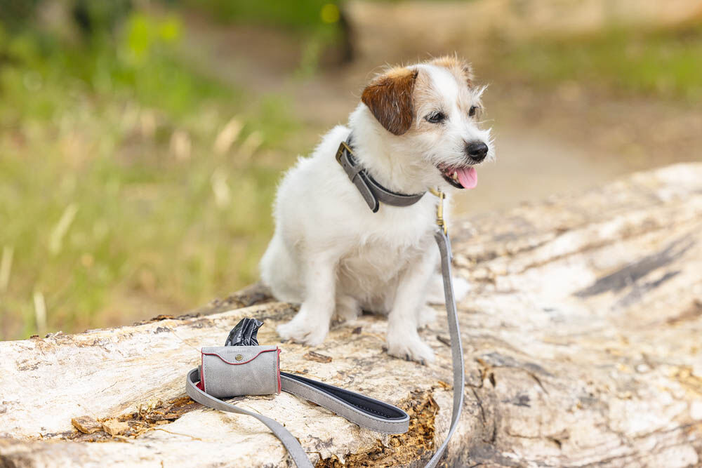 Beeztees Balacron - Poepzakhouder Hond - grijs