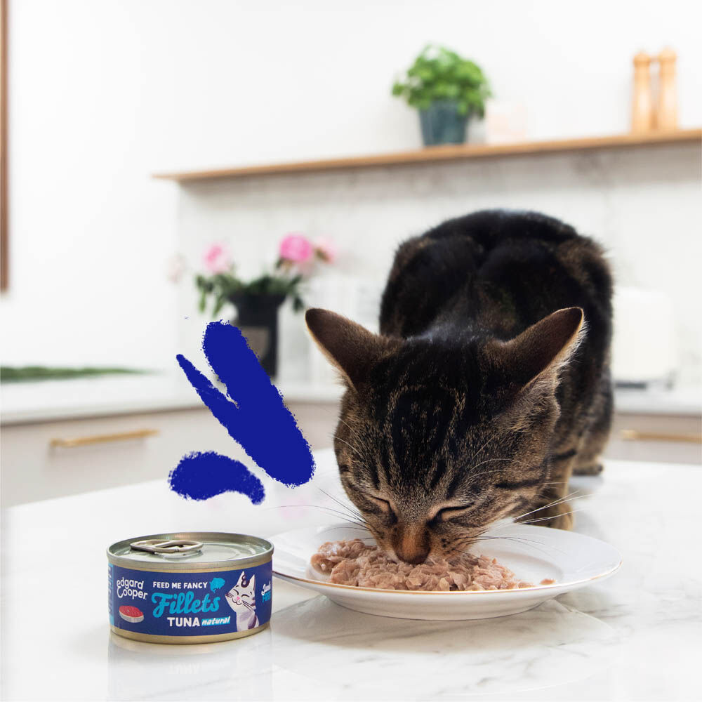 Edgard & Cooper Filets - Kattenvoer - Tonijn - 70 gram