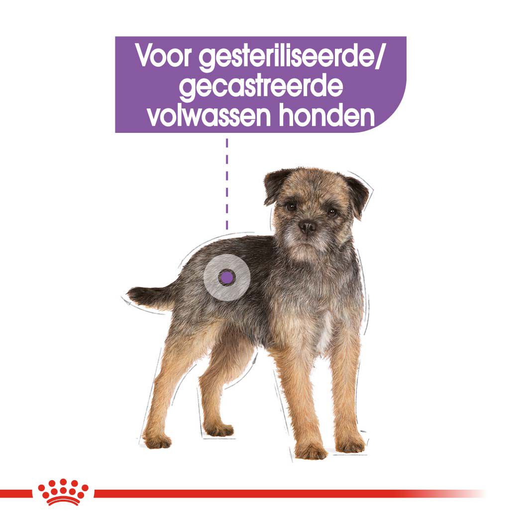 Royal Canin Sterilised Mini - Hondenvoer - 3 - gevogelte