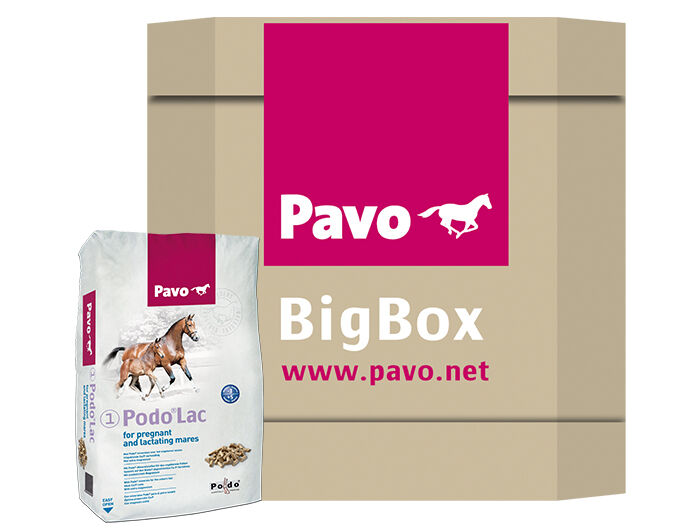 Pavo Podo Lac- Fokkerij - Paardenvoer - 725 - Bigbox Pavo Podo Lac- Fokkerij - Paardenvoer - 725 - Bigbox