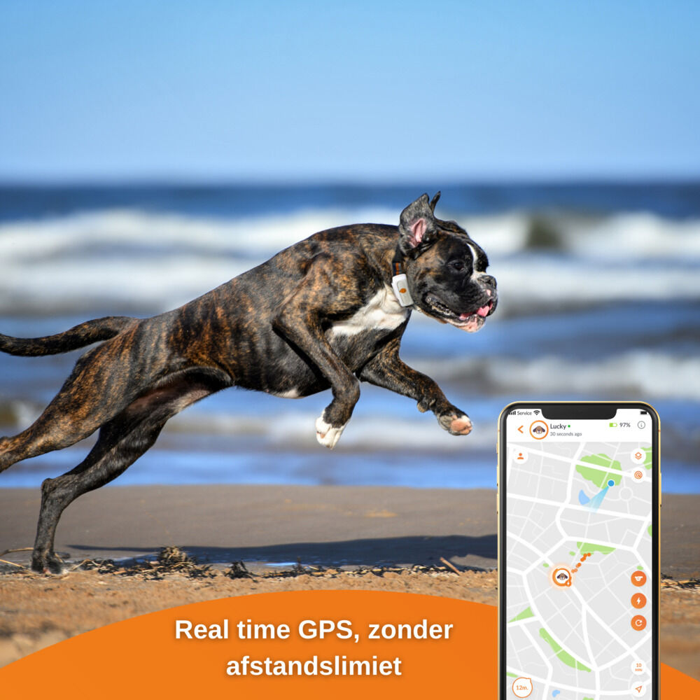 Weenect - GPS tracker Hond - 14.50 cm - wit - 12.00 cm - XS - 3.00 cm