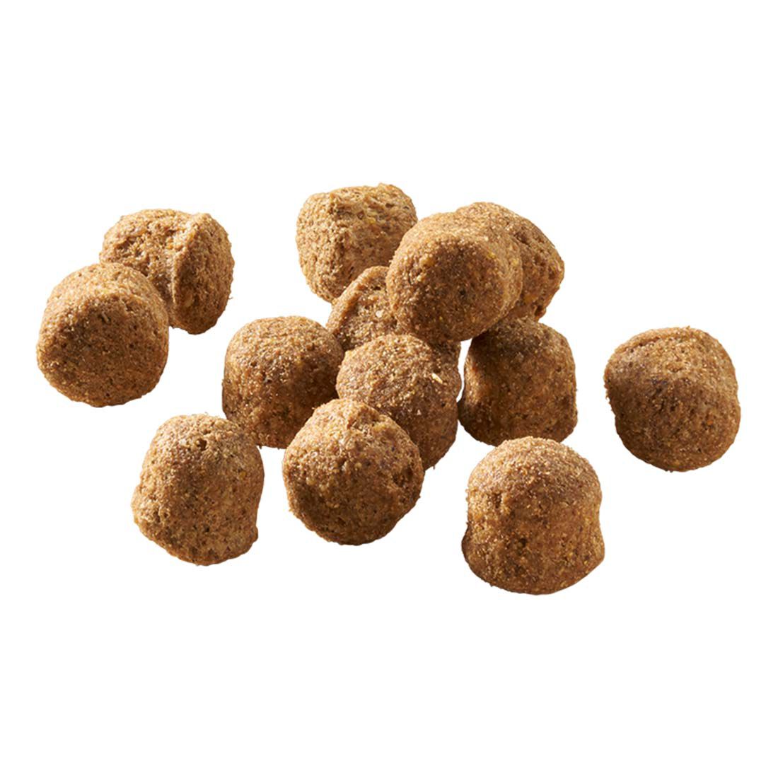 Welkoop Adult Krokante brokken - Hondenvoer - 2.50 - lam, rijst