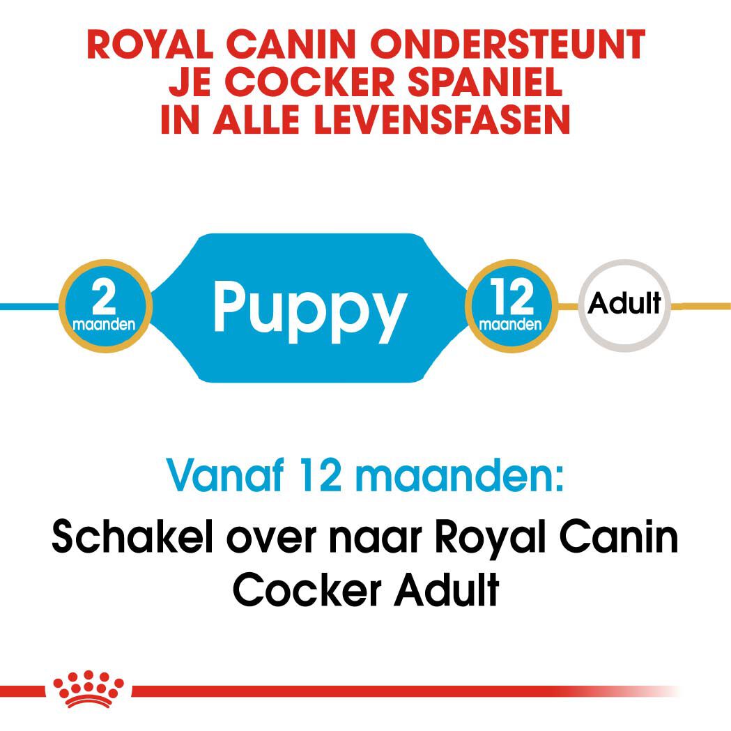 Royal Canin Cocker Puppy - Hondenvoer - 3 - gevogelte