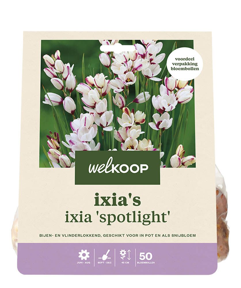 Welkoop Ixia Nicky - Bloembollen Welkoop Ixia Nicky - Bloembollen
