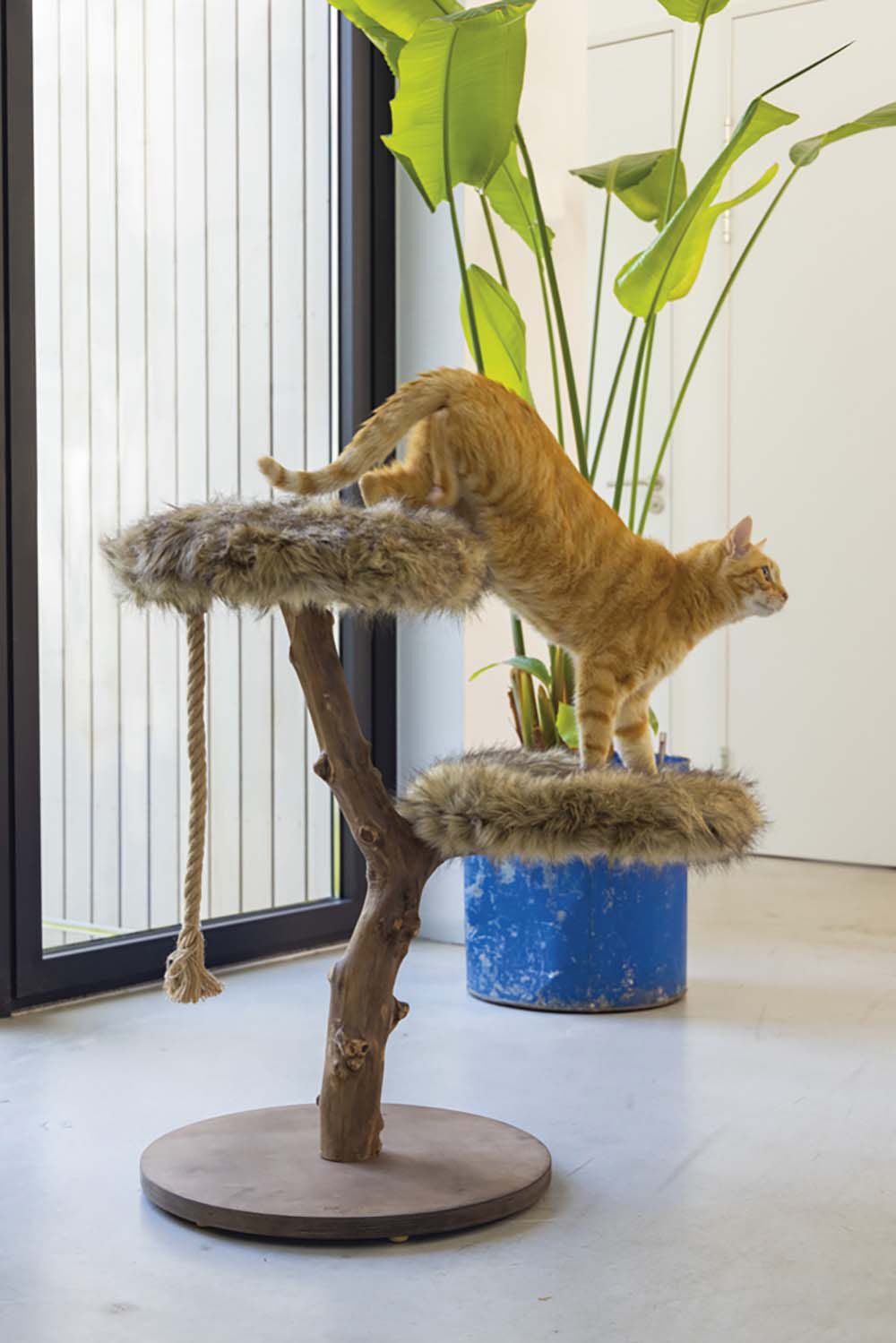 Designed by Lotte Aviva - Krabmeubel - Bruin
