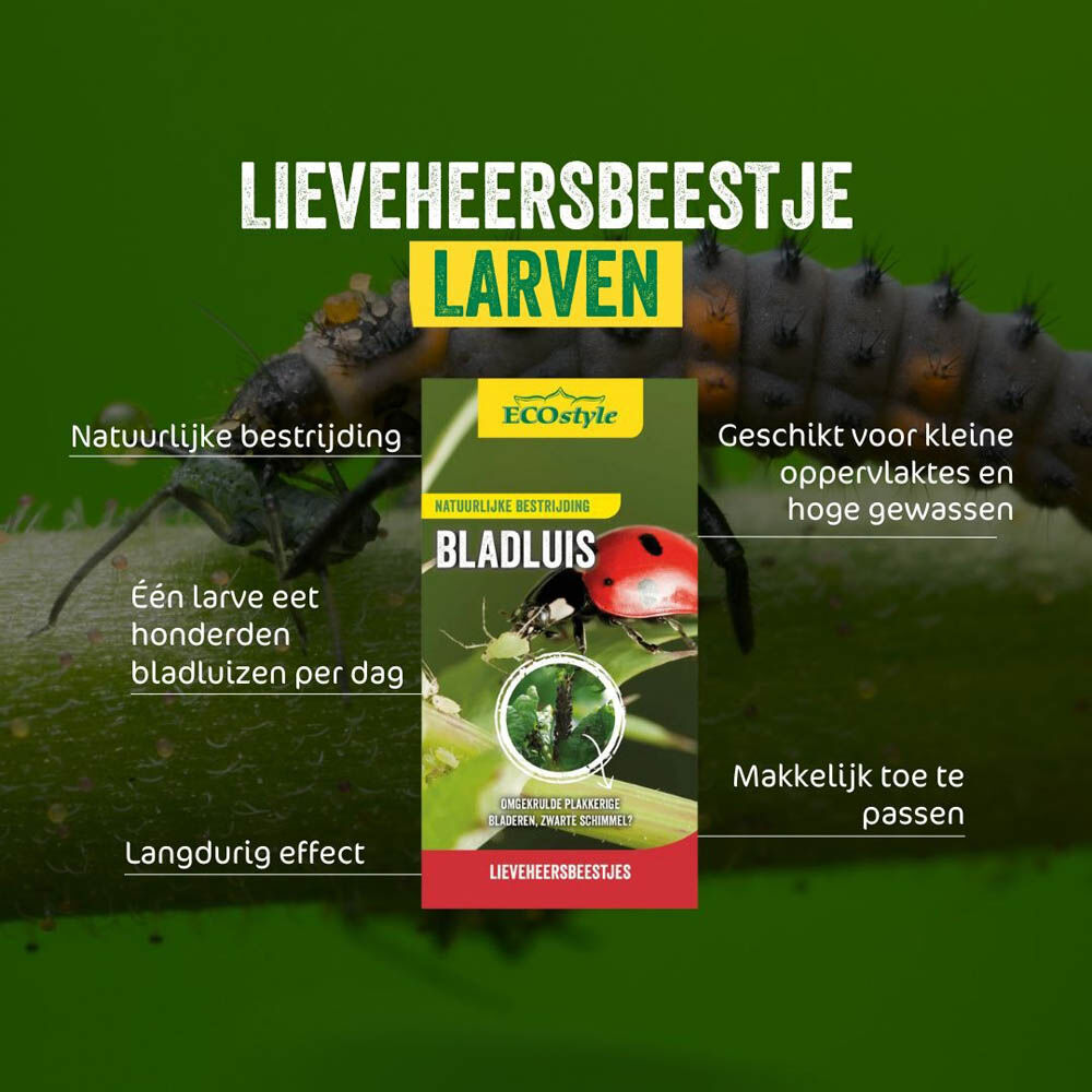 Ecostyle Larven lieveheersbeestjes adalia - Tegen Bladluis