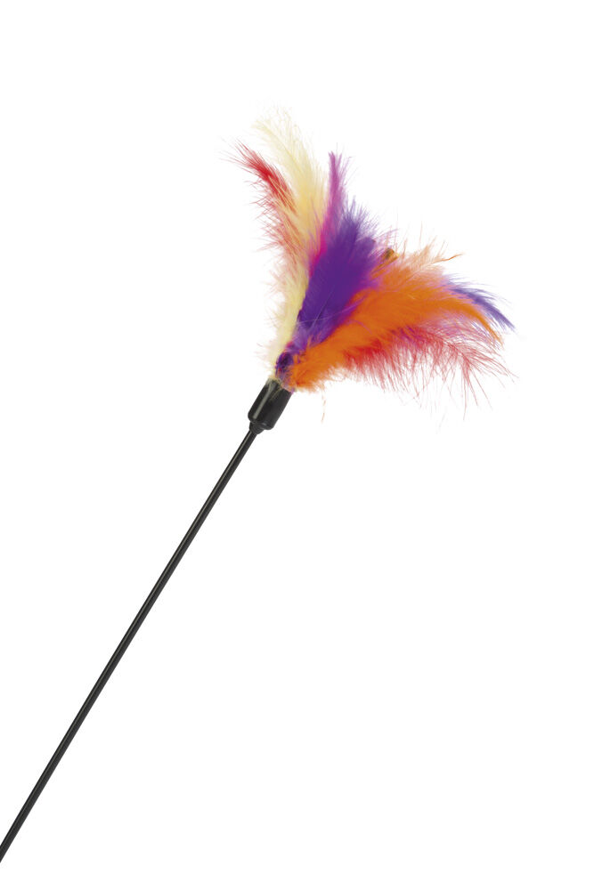 Beeztees Hengel met gekleurde veren - Kattenspeeltje Beeztees Hengel met gekleurde veren - Kattenspeeltje
