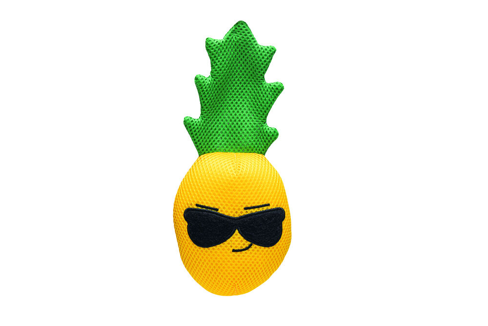 Beeztees Ananas Anne - Waterspeelgoed Hond Beeztees Ananas Anne - Waterspeelgoed Hond