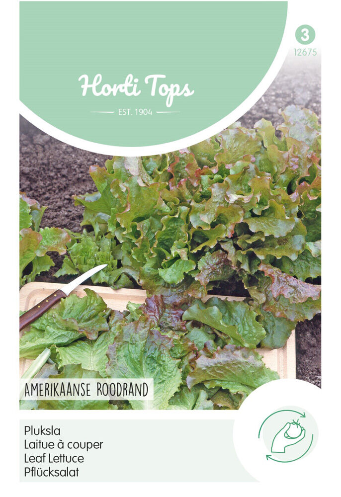 Hortitops Pluksla Lactuca sativa Amerikaanse Roodrand - Groentezaden Hortitops Pluksla Lactuca sativa Amerikaanse Roodrand - Groentezaden