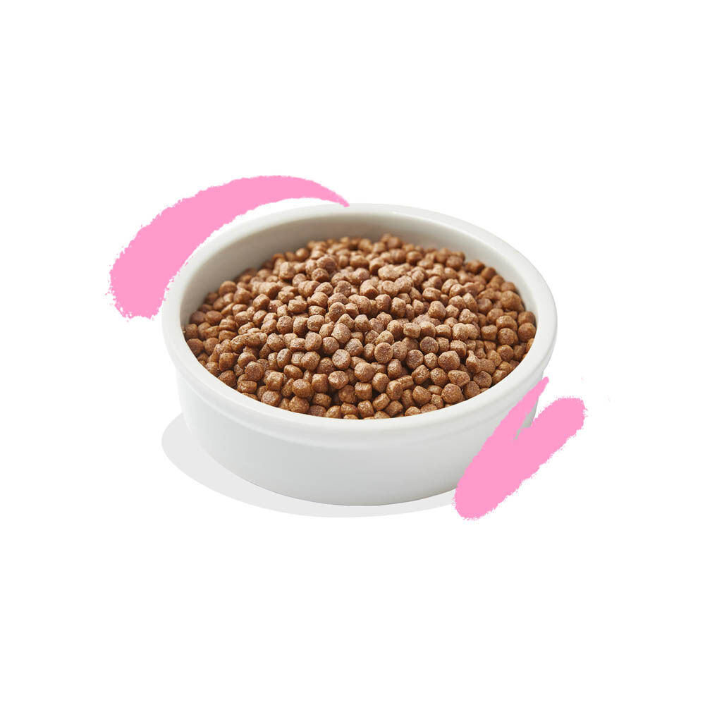 Edgard & Cooper Brokjes - Kattenvoer - Eend - Kip - 2 kg