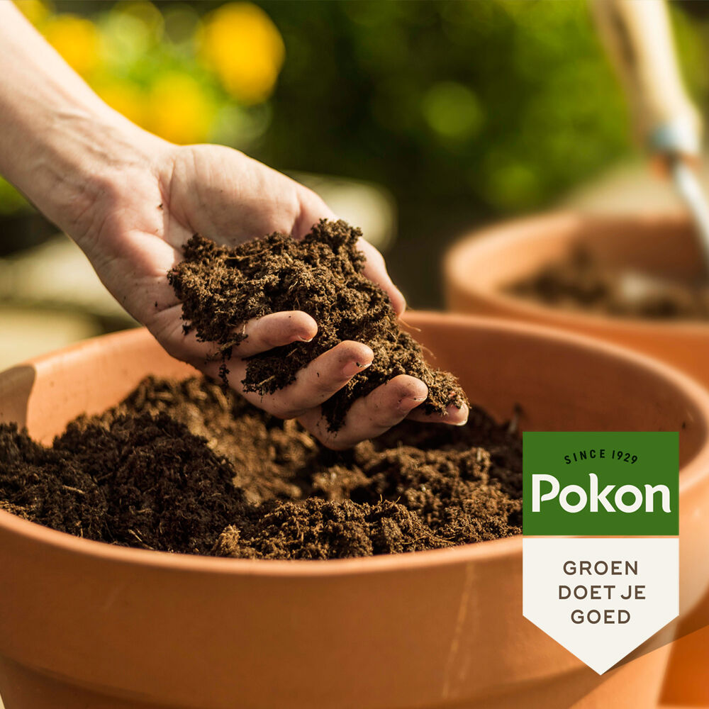 Pokon Bio potgrond - Potgrond - 40
