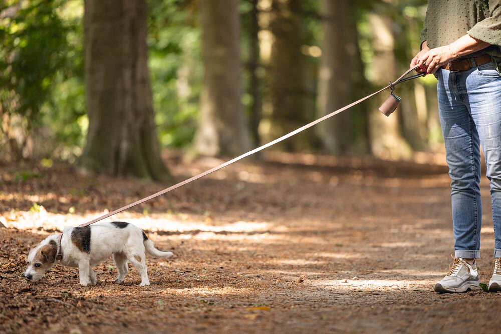 Beeztees Balacron - Poepzakhouder Hond - roze