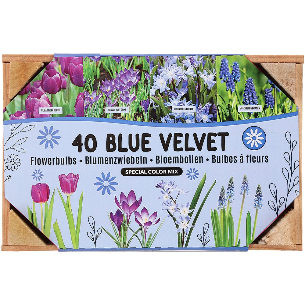 Florex Bloembollen mix - in Kistje