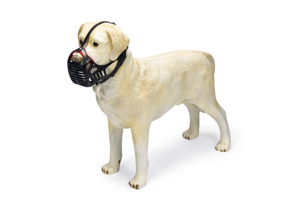 Karlie - Muilkorf - Hond met kort snuit - 1.00 cm - 1.00 cm - 1.00 cm