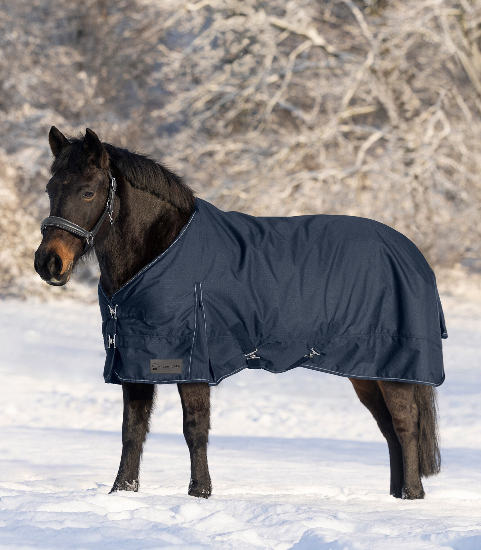 Waldhausen Nordic 300 gr - Winterdeken - Paardendeken - 1.00 cm - Blauw - 1.00 cm - 95/145 - 1.00 cm