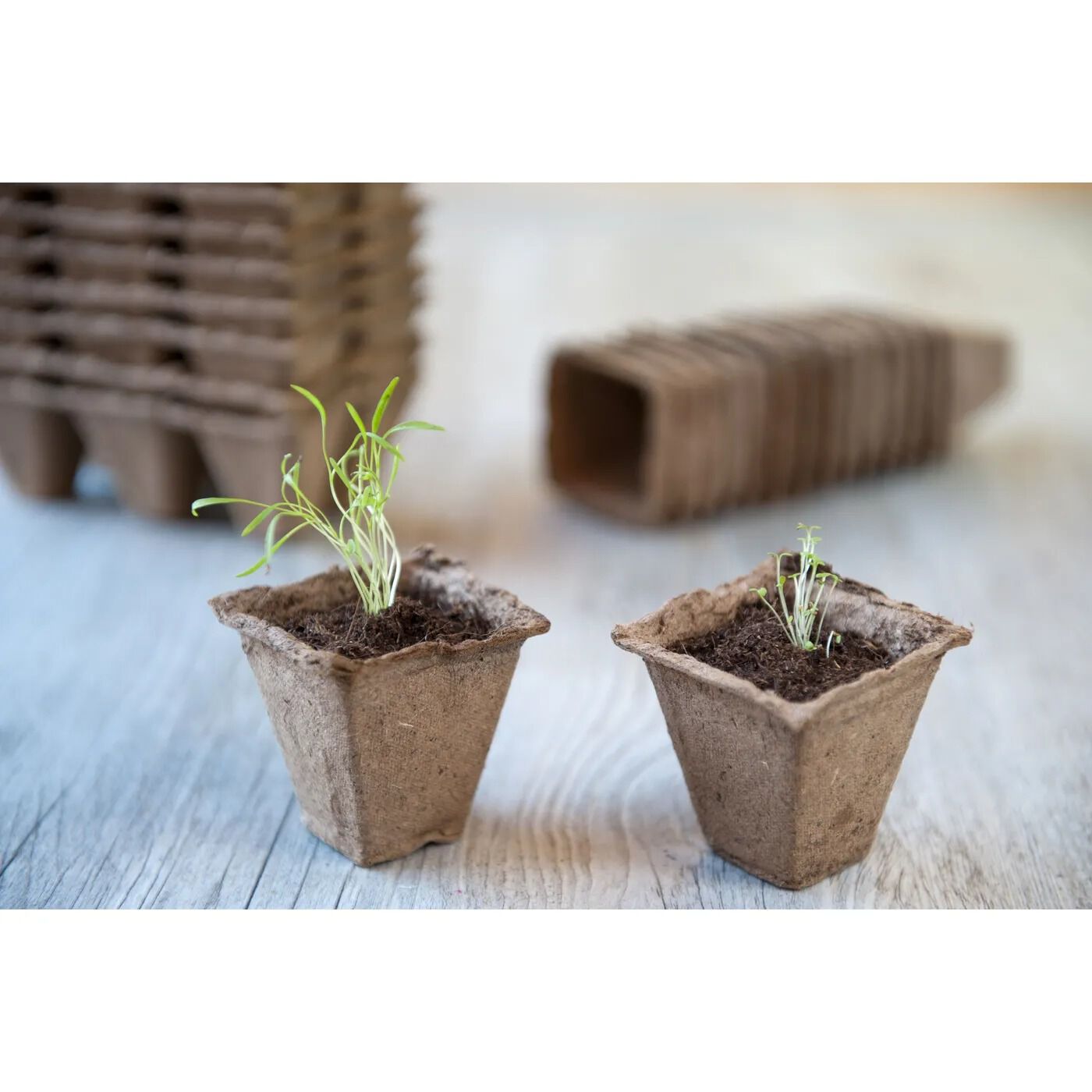 Nature - Turfpotjes - 6x15 Stuks - 12.50 cm - 20.50 cm - 12.50 cm