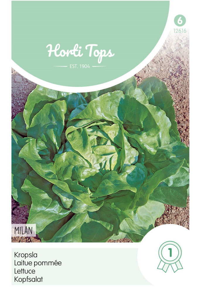 Hortitops Kropsla Lactuca sativa Milan - Sla Hortitops Kropsla Lactuca sativa Milan - Sla