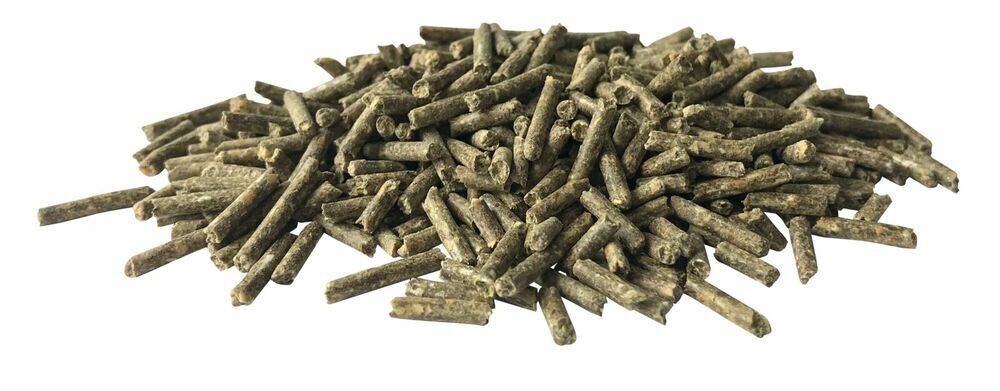 Pavo ProteïnPlus - Supplement - Paardenvoer - 15