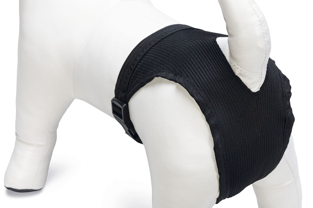 Beeztees - Loopsheidbroekje - Hond - Zwart - XS