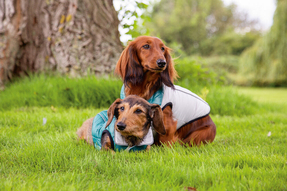 Beeztees Maly - Hondenjas - 36.00 cm - groen - 23.50 cm - 40.00 cm - M/L - 40.00 cm