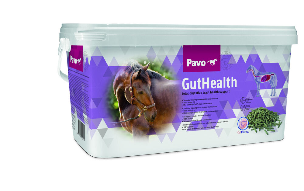 PAVO GUTHEALTH
