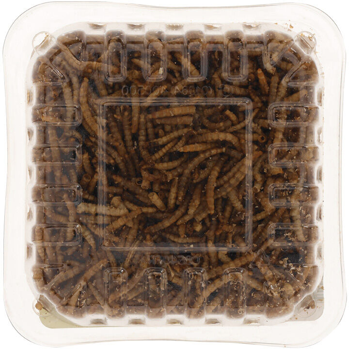 Welkoop - Gedroogde meelwormen - Tuinvogelvoer - 50 - Meelwormen