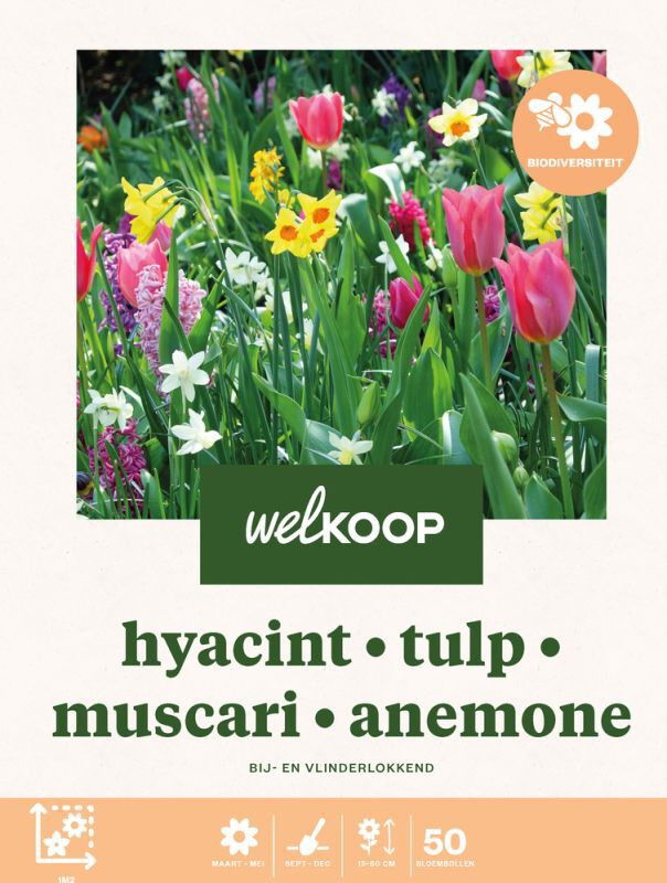 Welkoop Hyacint Tulp Narcis Blauwe druifjes - Biodiversiteit - Bloembollen Welkoop Hyacint Tulp Narcis Blauwe druifjes - Biodiversiteit - Bloembollen