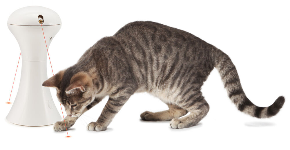 Petsafe Multi Laser Light - Kattenspeeltje