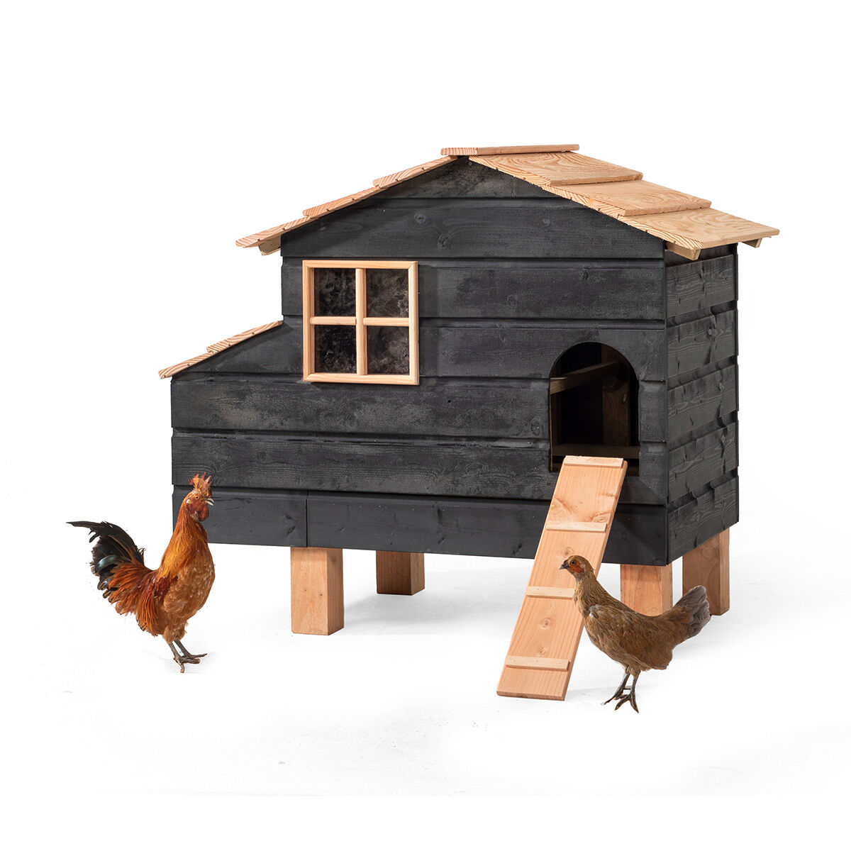 Glorenza  Harm - Kippenhok Glorenza  Harm - Kippenhok