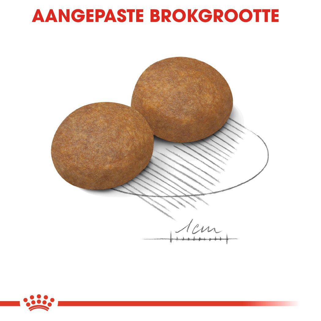 Royal Canin SHN Maxi Adult 5+ - Hondenvoer - 15 - gevogelte