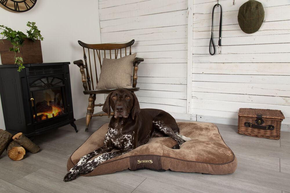 Scruffs Chester - Hondenkussen - 1.00 cm - bruin - 82.00 cm - L - 1.00 cm