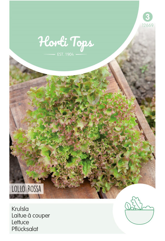 Hortitops Krulsla Lactuca sativa Lollo Rossa - Sla Hortitops Krulsla Lactuca sativa Lollo Rossa - Sla
