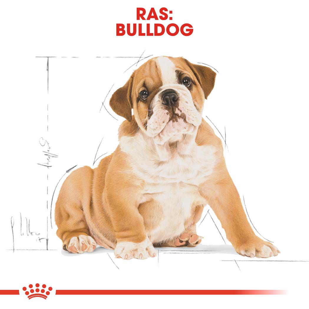 Royal Canin Bulldog Puppy - Hondenvoer - 3 - gevogelte