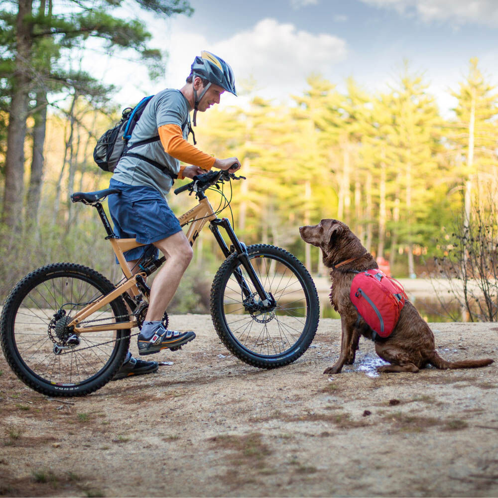 Kurgo Big Baxter Hondenrugzak - Reistas