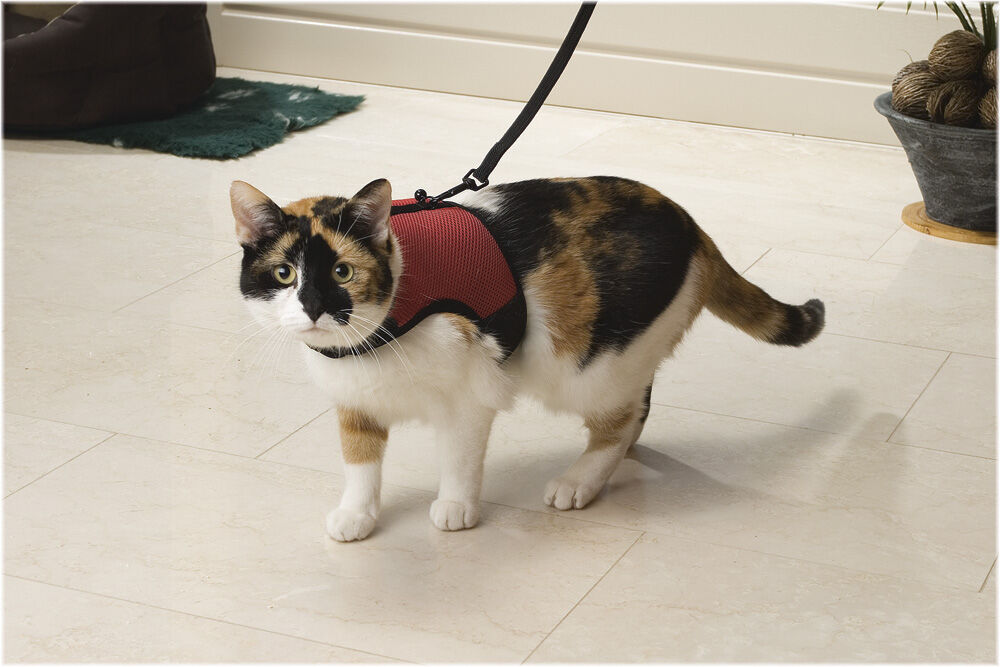 Beeztees Loopharnas Comfort - Kattentuigje Beeztees Loopharnas Comfort - Kattentuigje
