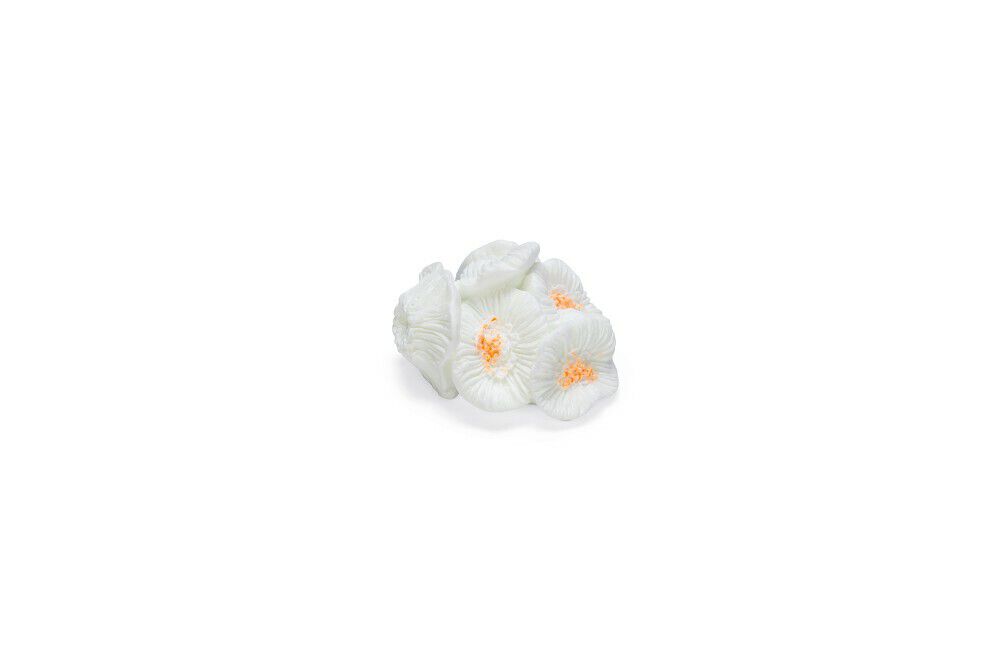 Beeztees Koraal - Aquarium Ornament