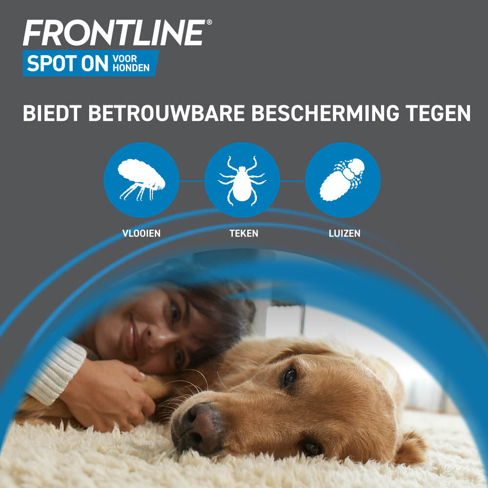 Frontline Spot On L - Anti vlooien en teken Hond - 3 pipetten - 11.00 cm - 14.80 cm - 1.80 cm
