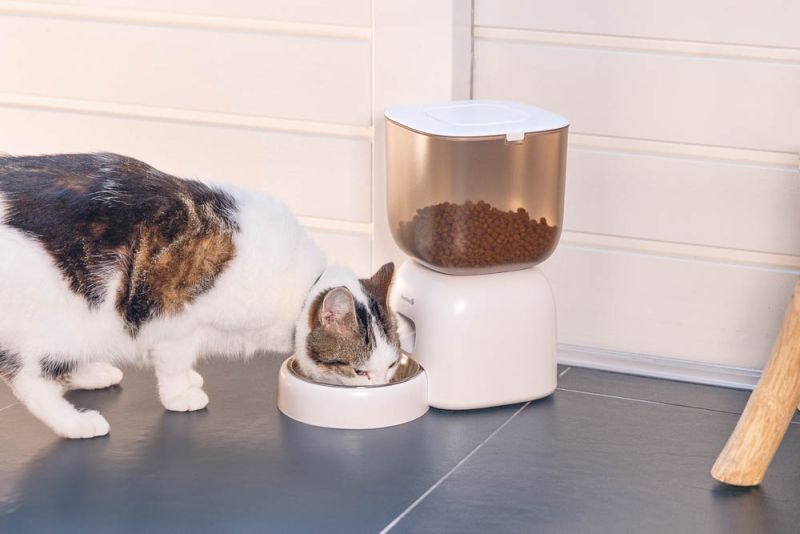 Beeztees Chris - Automatische voerbak - 3 liter - Wit - 32x32x32 cm