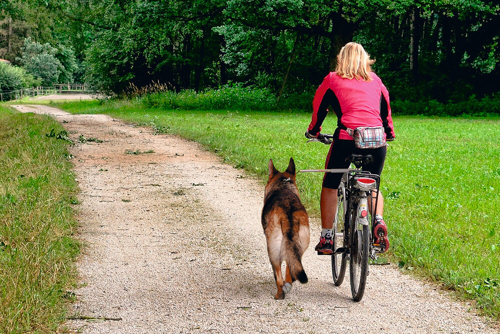 Karlie Walky Dog - Fietsbeugel Hond - 1.00 cm - 1.00 cm - 1.00 cm