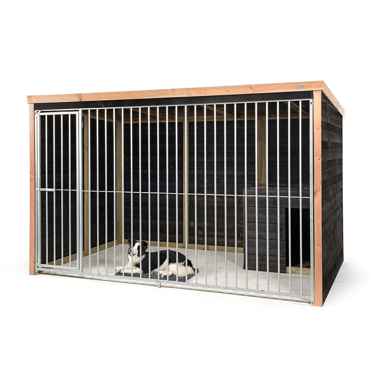 Voldux Bo - Hondenkennel Voldux Bo - Hondenkennel