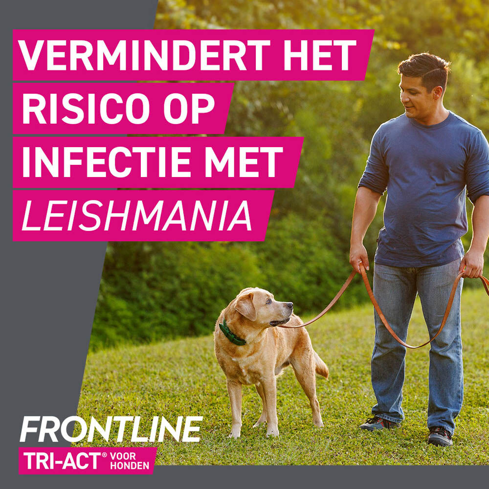 Frontline Tri-Act S - Teken en vlooienpipet - 3 pipetten - S