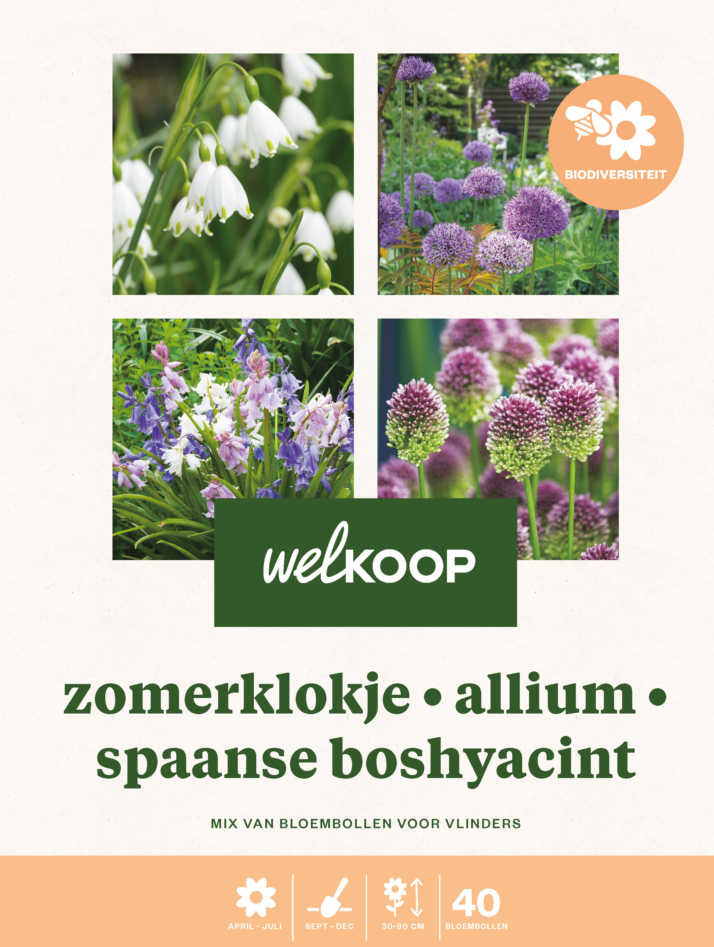 Welkoop Zomerklokje  Allium Spaanse Boshyacint - Biodiversiteit - Bloembollen Welkoop Zomerklokje  Allium Spaanse Boshyacint - Biodiversiteit - Bloembollen