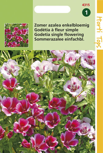 Hortitops Zomer Azalea Enkelbloemig - Bloemzaden Hortitops Zomer Azalea Enkelbloemig - Bloemzaden