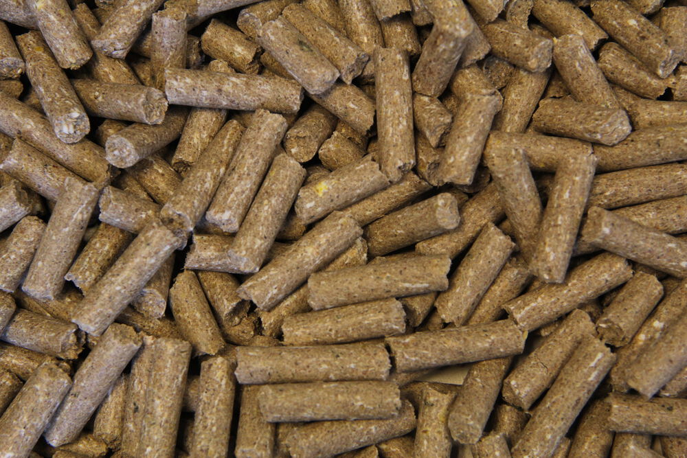 Voermeesters Basis - Basisvoeding - 20 kg - Zak