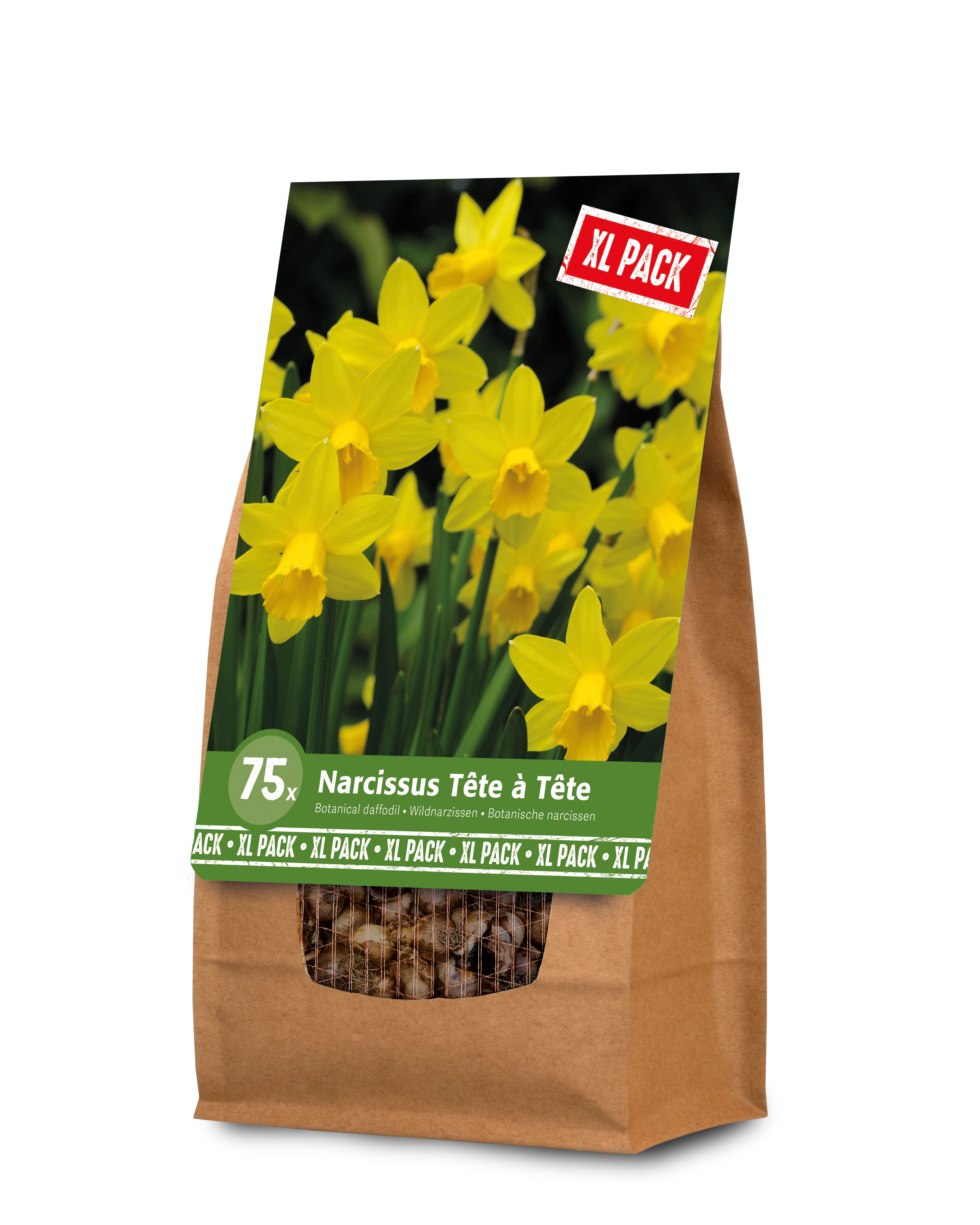Florex Narcis - Bloembollen - XL zak Florex Narcis - Bloembollen - XL zak