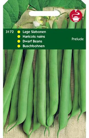 Hortitops Stamslaboon Prelude Phaseolus vulgaris - Groentezaden Hortitops Stamslaboon Prelude Phaseolus vulgaris - Groentezaden