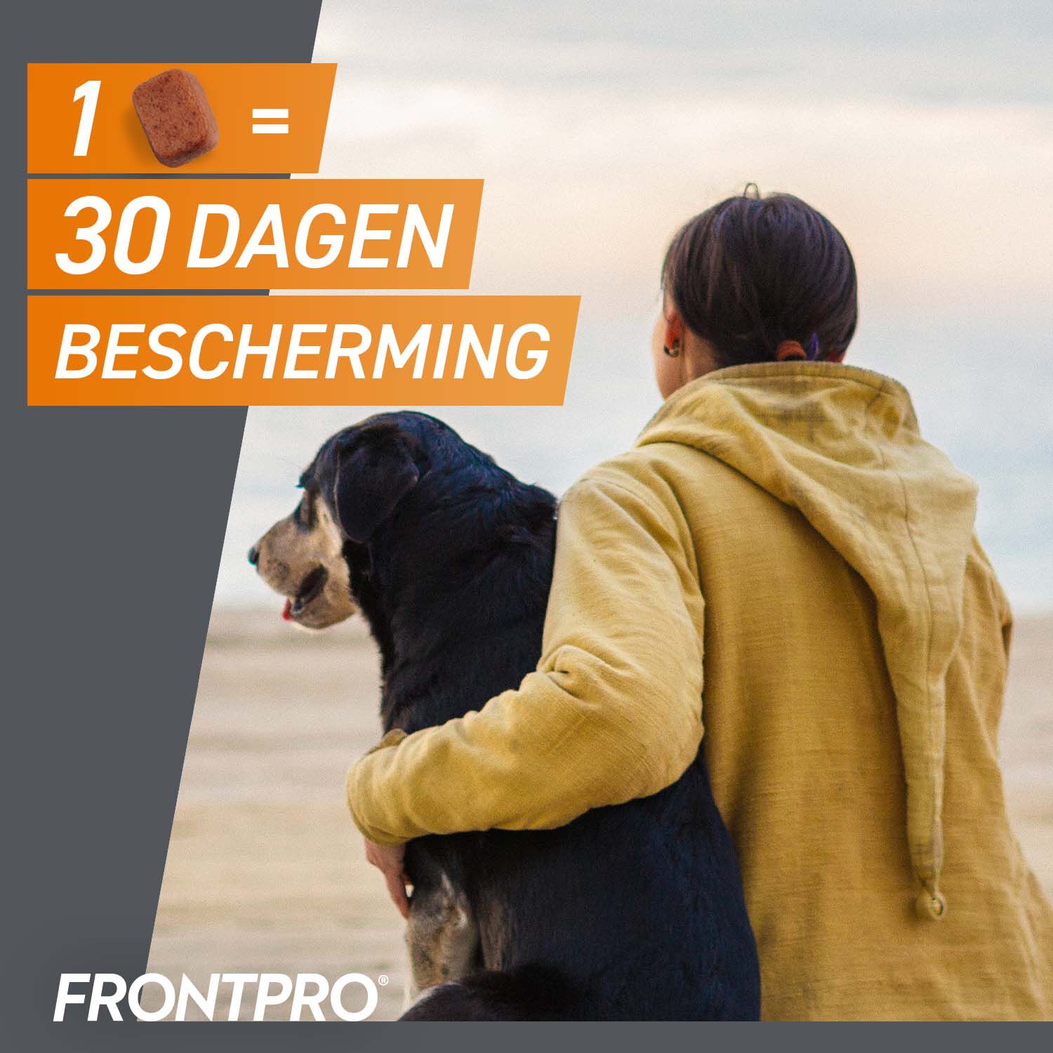 Frontpro Kauwtablet - Anti Vlooien en teken Hond - S - S